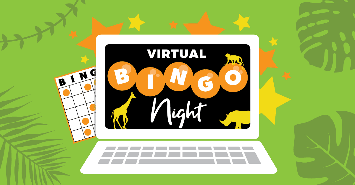Free virtual bingo for zoom